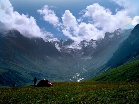 Himalayan