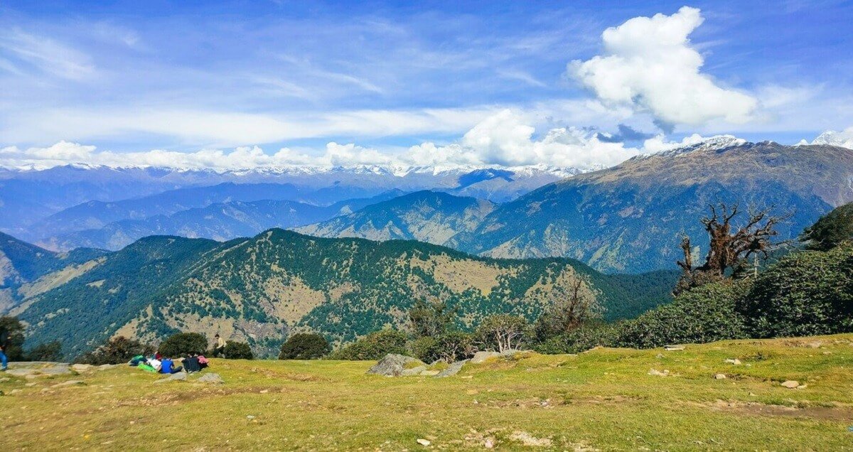 Himalayan
