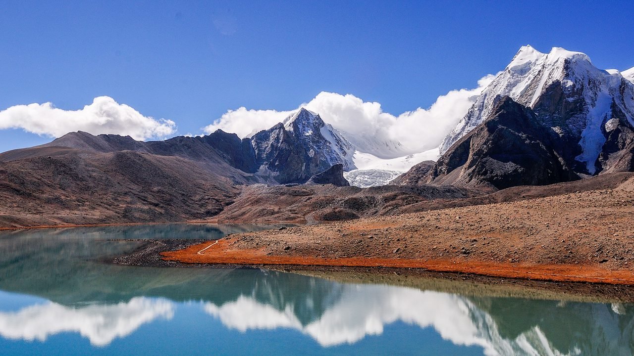 Himalayan
